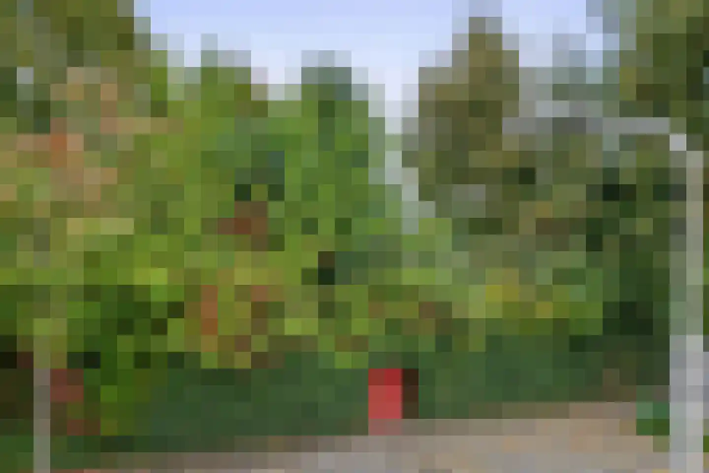 Witte Klaverlaan 35 Krommenie thumbnail 36