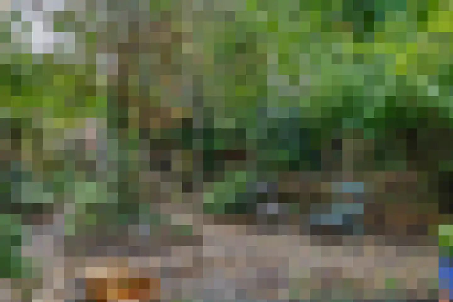 Witte Klaverlaan 35 Krommenie thumbnail 37