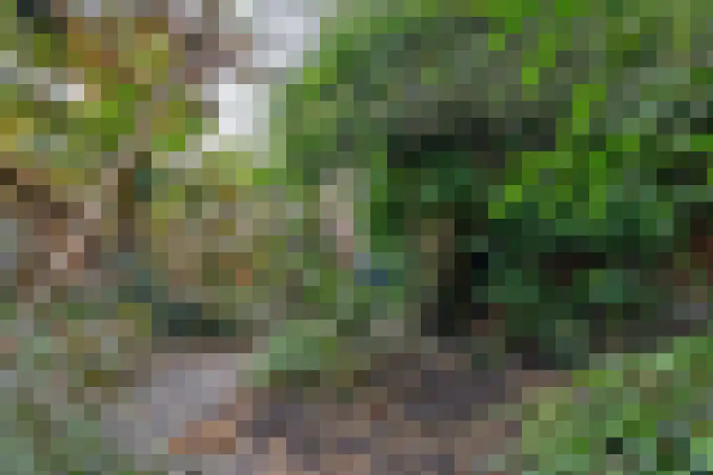 Witte Klaverlaan 35 Krommenie thumbnail 38