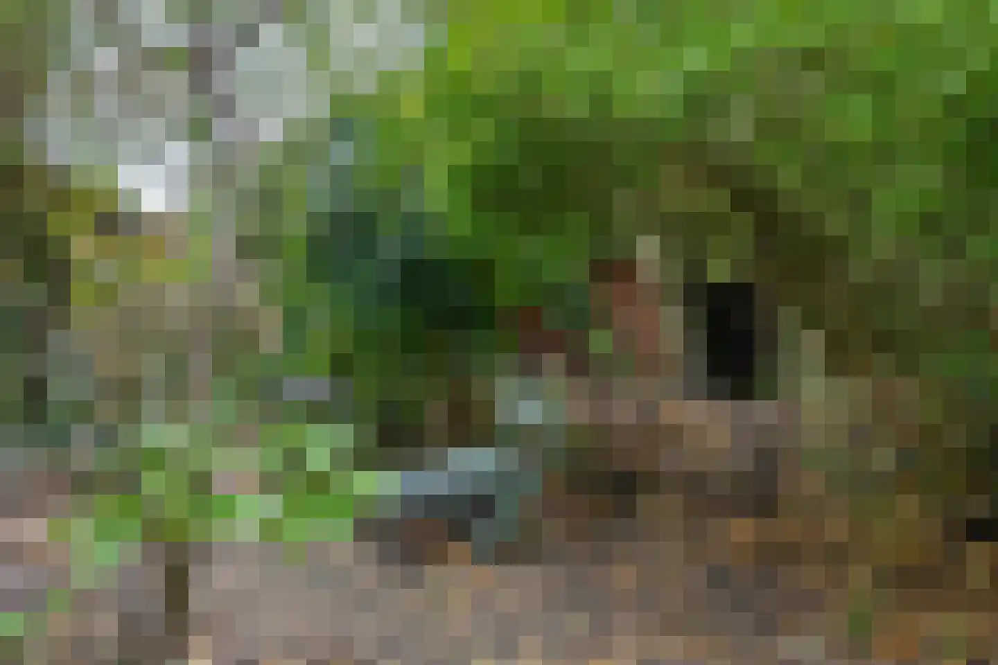 Witte Klaverlaan 35 Krommenie thumbnail 40