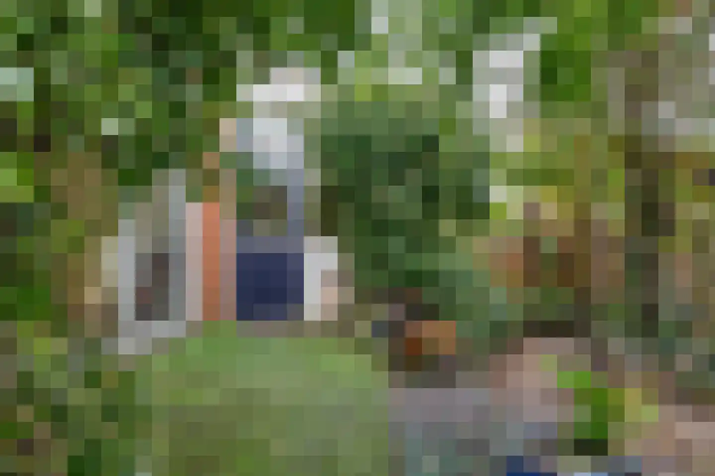 Witte Klaverlaan 35 Krommenie thumbnail 41