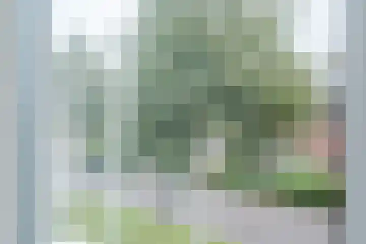 Witte Klaverweide 31 Heerhugowaard thumbnail 19