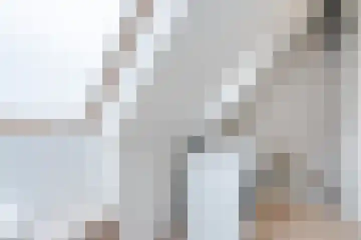 Witte Klaverweide 31 Heerhugowaard thumbnail 32