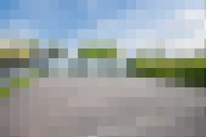 Witte Klaverweide 31 Heerhugowaard thumbnail 39