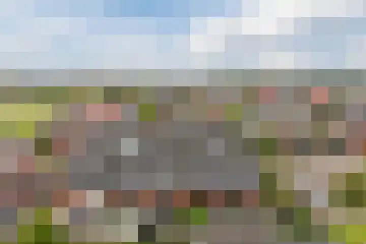 Witte Klaverweide 31 Heerhugowaard thumbnail 41