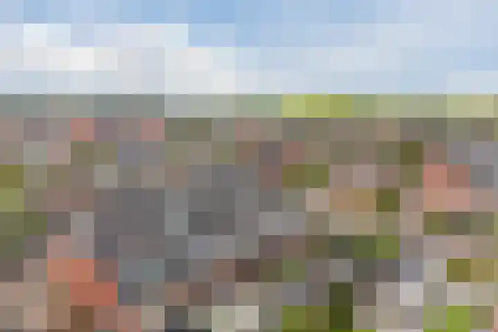 Witte Klaverweide 31 Heerhugowaard thumbnail 42