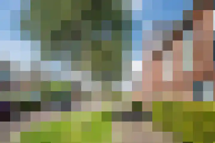Witte Klaverweide 31 Heerhugowaard thumbnail 48