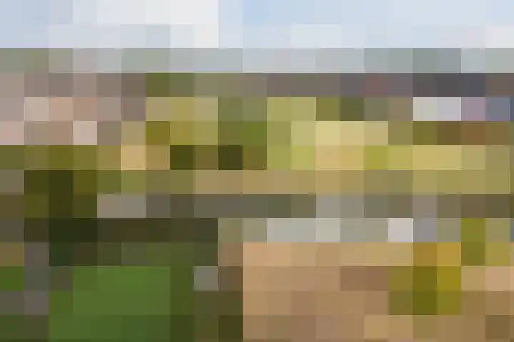 Witte Klaverweide 31 Heerhugowaard thumbnail 49