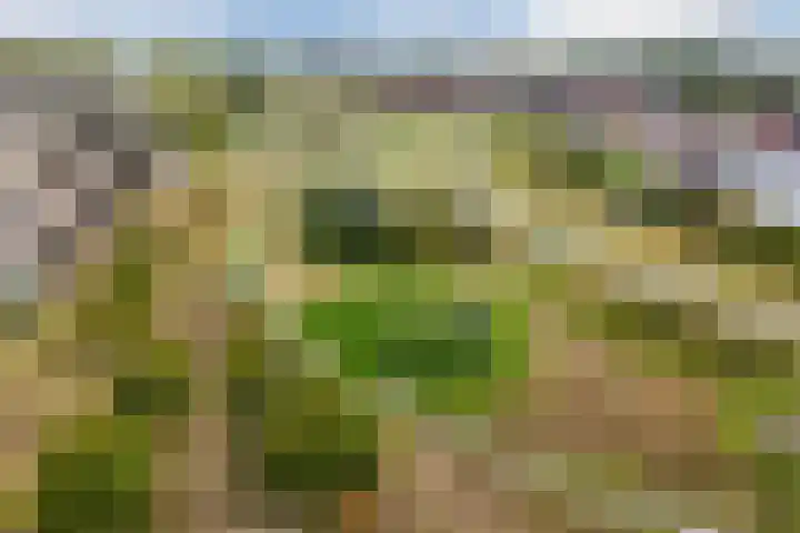 Witte Klaverweide 31 Heerhugowaard thumbnail 50