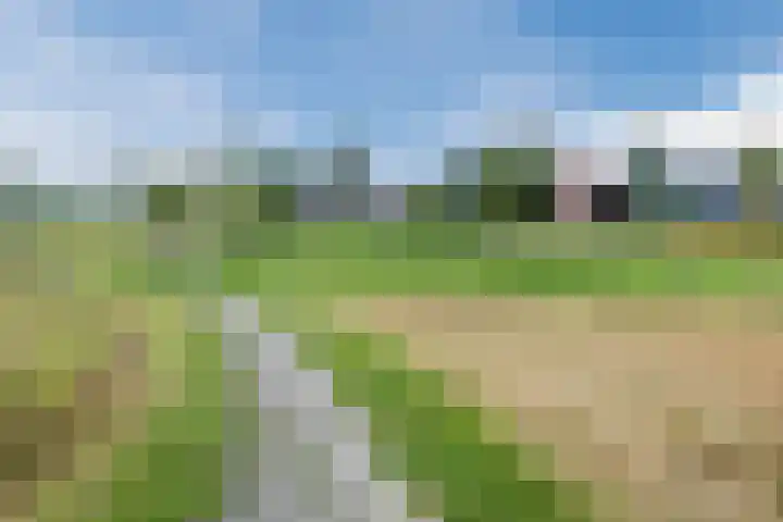 Witte Klaverweide 31 Heerhugowaard thumbnail 51