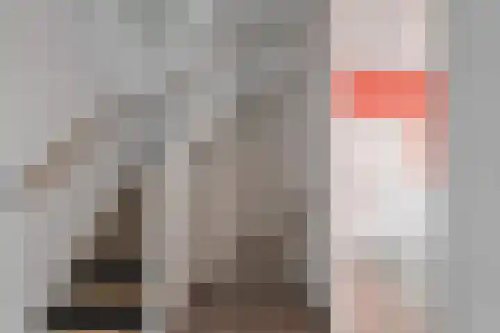 Witte Klaverweide 7 Heerhugowaard thumbnail 30