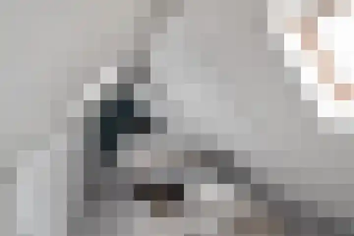Witte Klaverweide 7 Heerhugowaard thumbnail 31