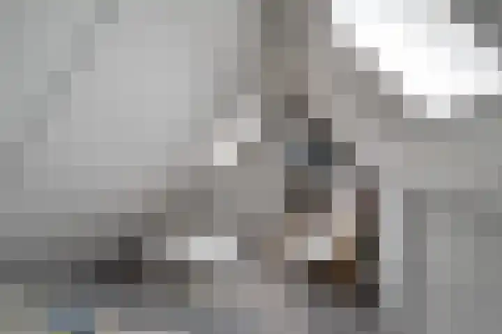 Witte Klaverweide 7 Heerhugowaard thumbnail 32