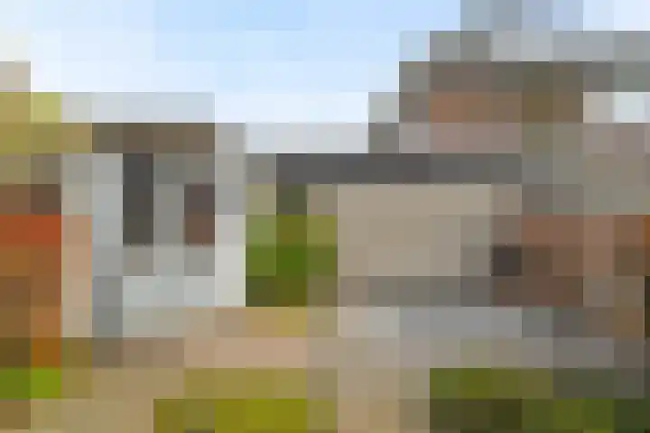 Witte Klaverweide 7 Heerhugowaard thumbnail 33