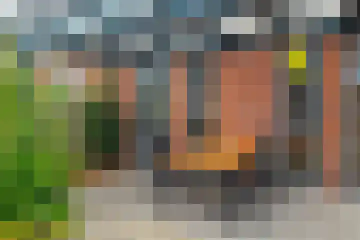 Witte Klaverweide 7 Heerhugowaard thumbnail 35