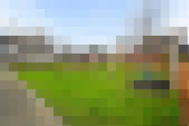 Witte Klaverweide 7 Heerhugowaard thumbnail 37