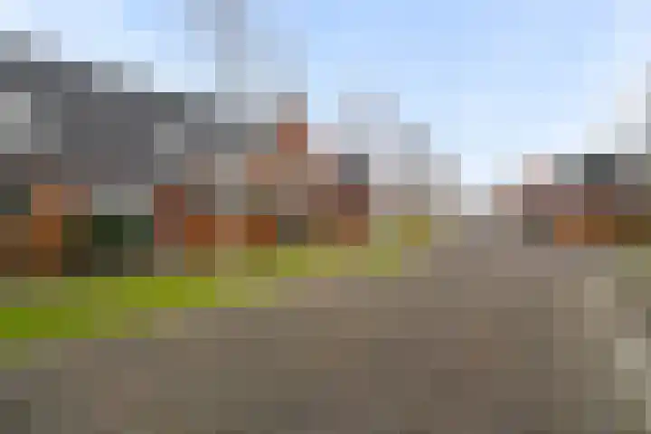 Witte Klaverweide 7 Heerhugowaard thumbnail 5