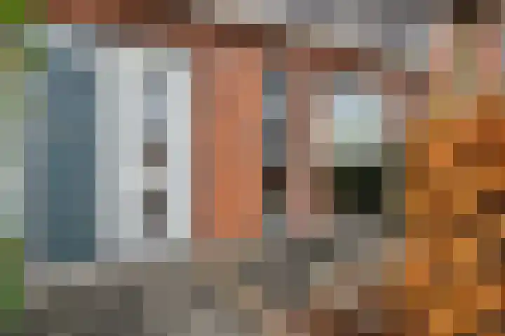Witte Klaverweide 7 Heerhugowaard thumbnail 6