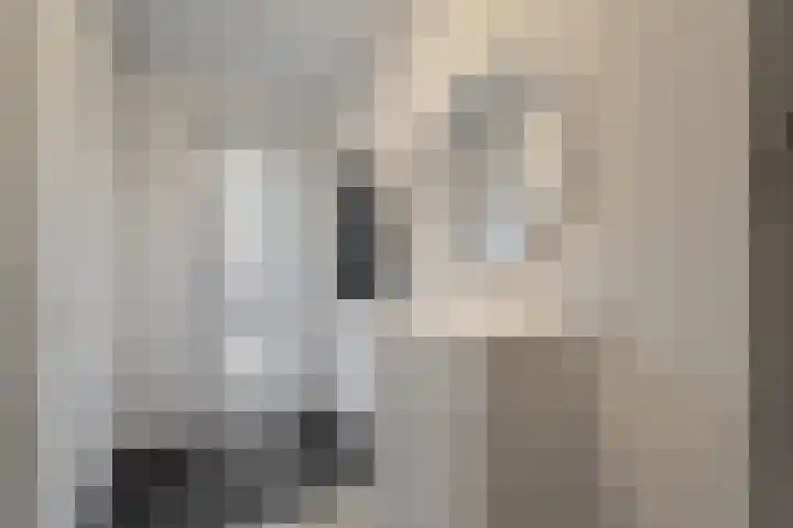 Witte Klaverweide 7 Heerhugowaard thumbnail 7