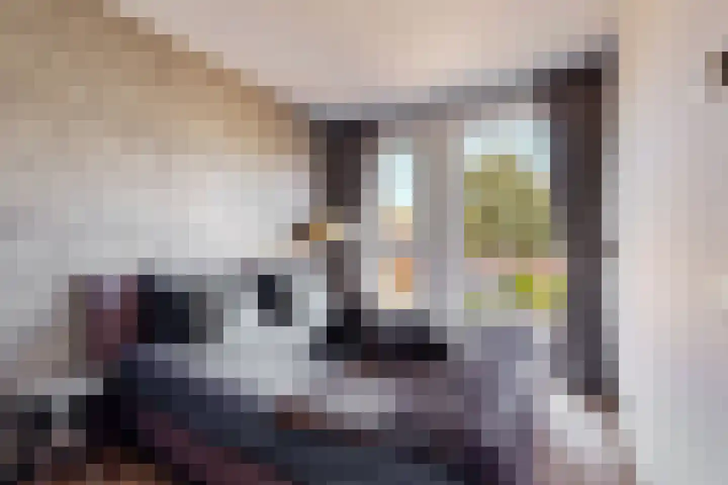 Witte Klaverweide 8 Heerhugowaard thumbnail 14