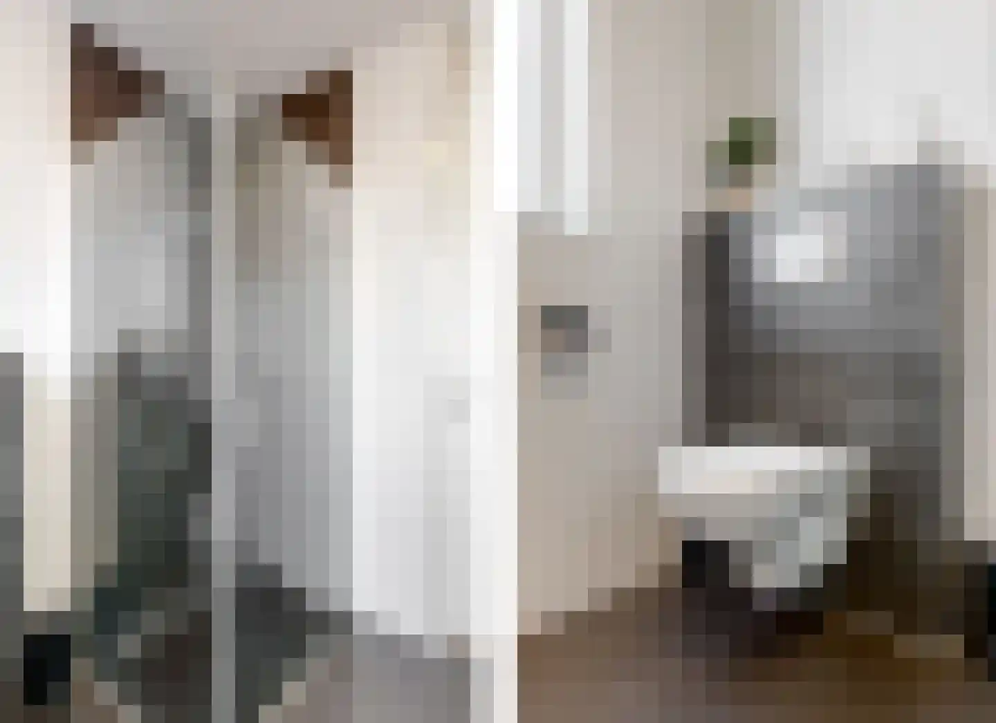Witte Klaverweide 8 Heerhugowaard thumbnail 27