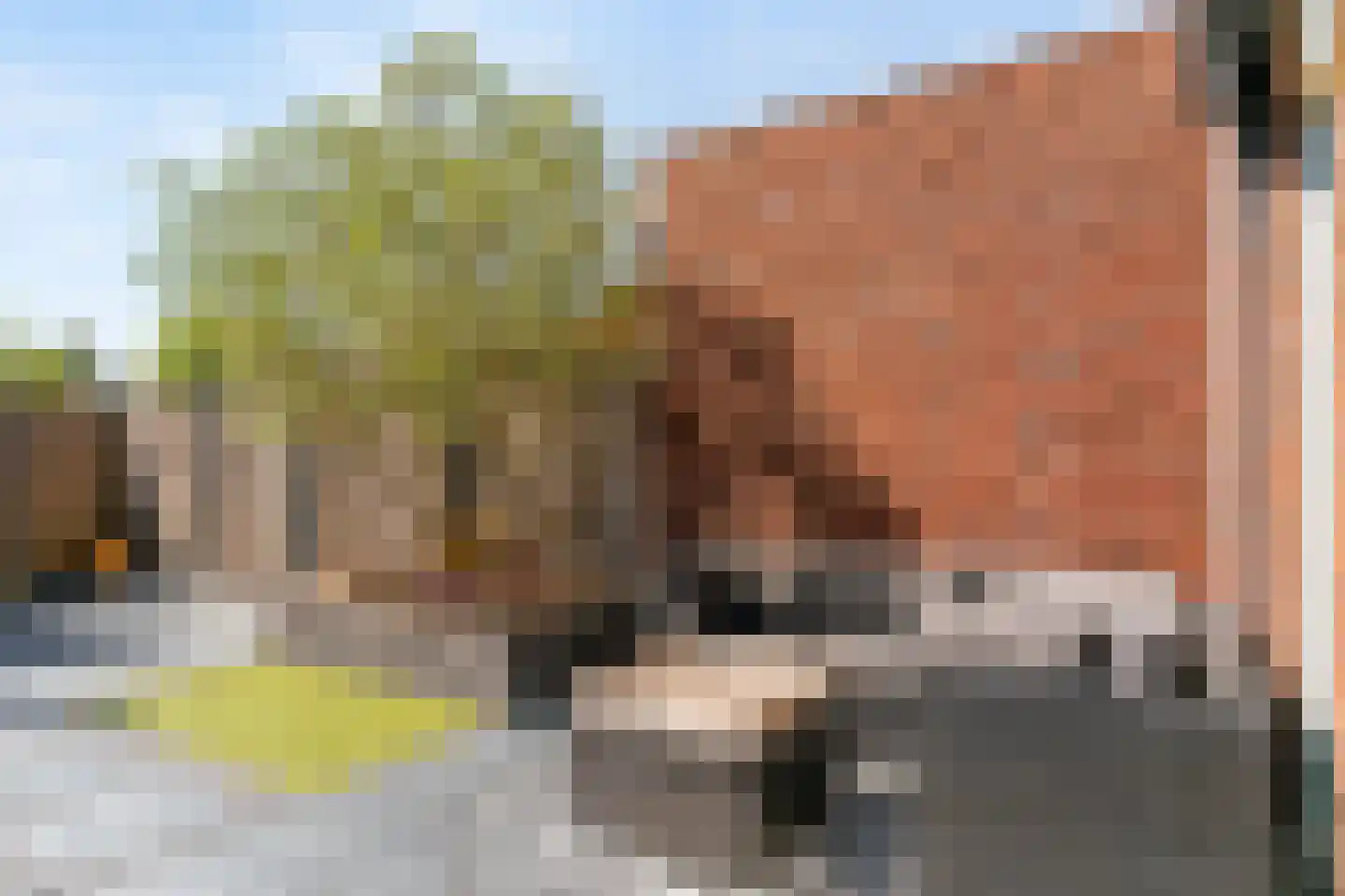 Witte Klaverweide 8 Heerhugowaard thumbnail 30