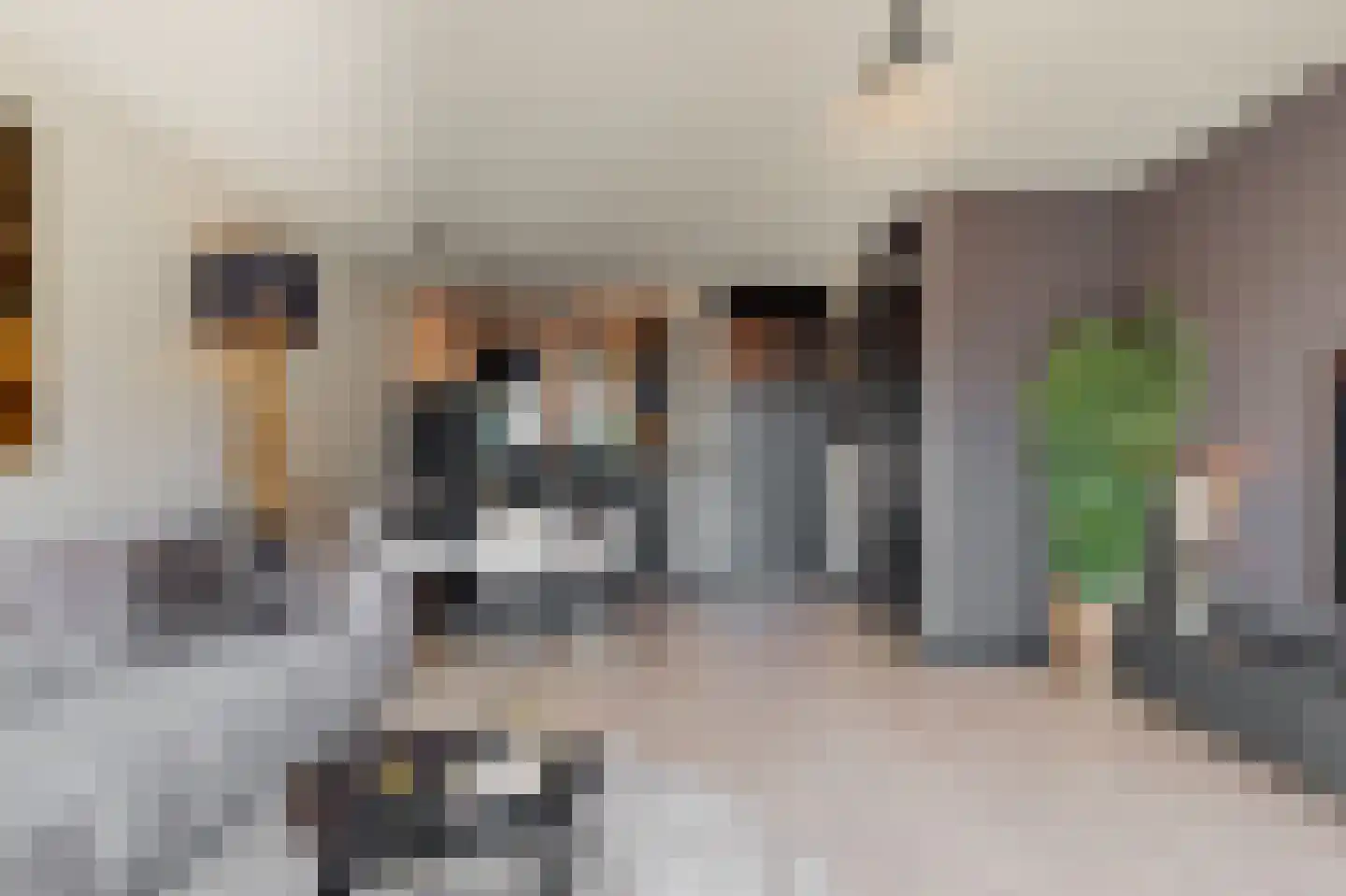 Witte Klaverweide 8 Heerhugowaard thumbnail 5