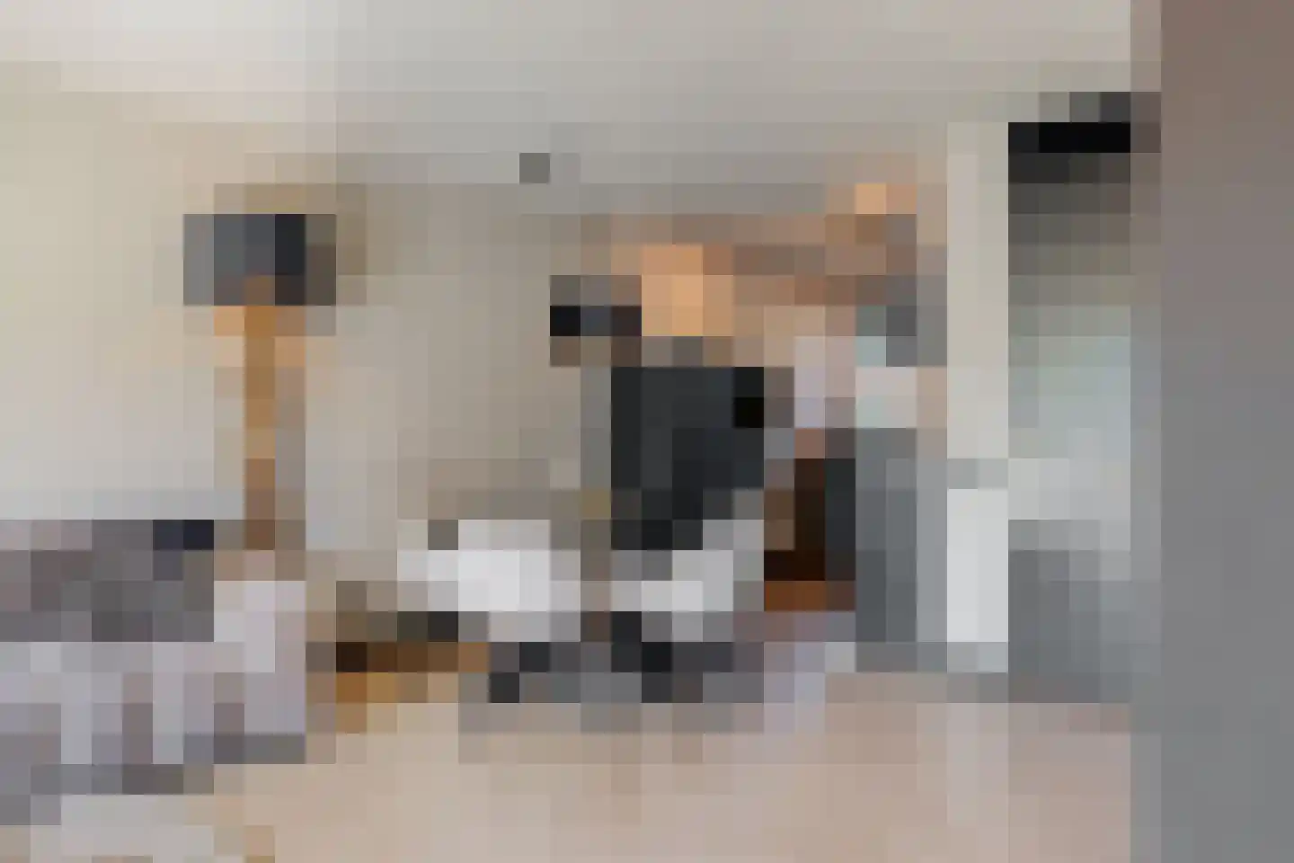 Witte Klaverweide 8 Heerhugowaard thumbnail 7