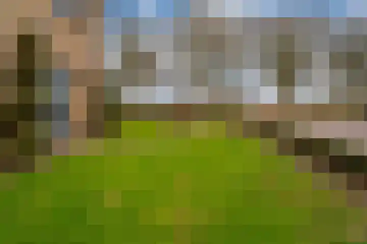 Witte Kruis 123 Babberich thumbnail 10