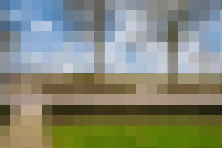 Witte Kruis 123 Babberich thumbnail 11