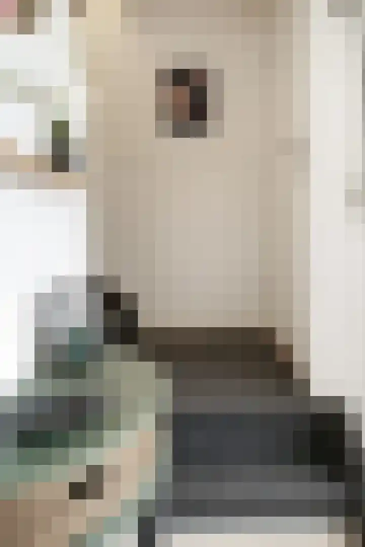 Witte Kruis 123 Babberich thumbnail 14