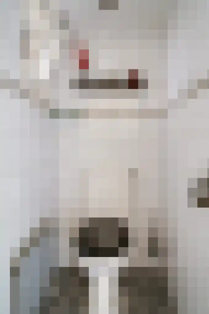 Witte Kruis 123 Babberich thumbnail 15