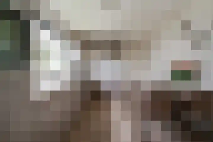 Witte Kruis 123 Babberich thumbnail 26