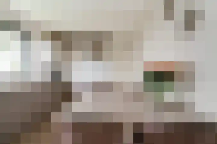 Witte Kruis 123 Babberich thumbnail 28