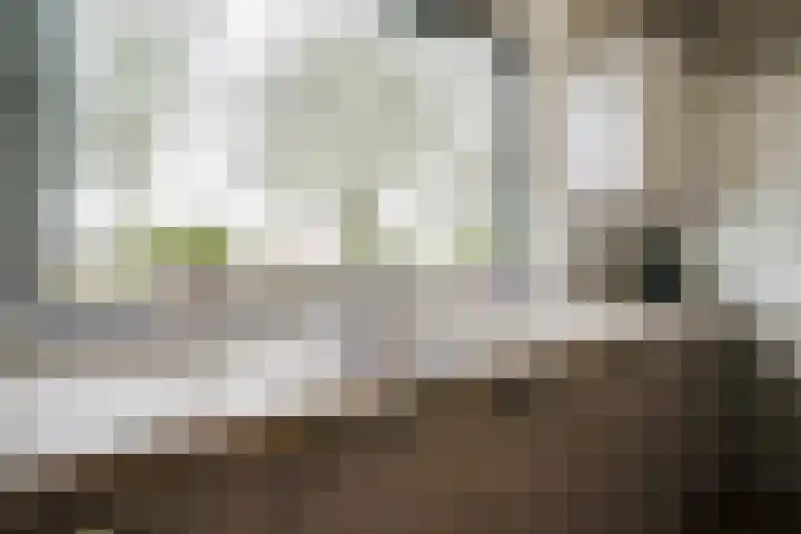 Witte Kruis 123 Babberich thumbnail 29