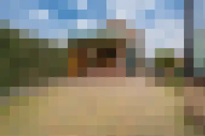 Witte Kruis 123 Babberich thumbnail 33
