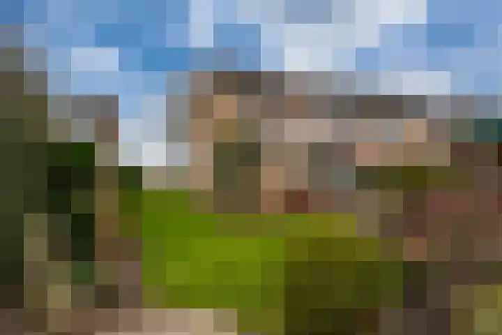Witte Kruis 123 Babberich thumbnail 35