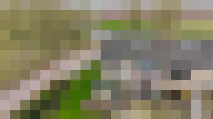 Witte Kruis 123 Babberich thumbnail 37