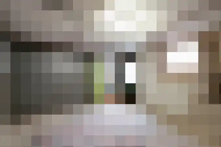 Witte Kruis 123 Babberich thumbnail 40