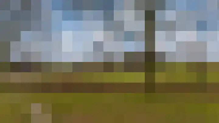 Witte Kruis 123 Babberich thumbnail 58