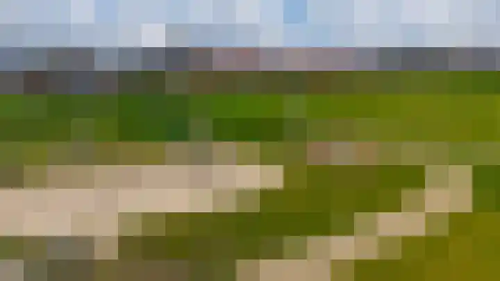 Witte Kruis 123 Babberich thumbnail 61