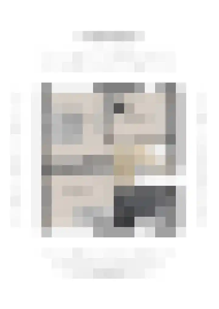 Witte Kruis 123 Babberich thumbnail 64
