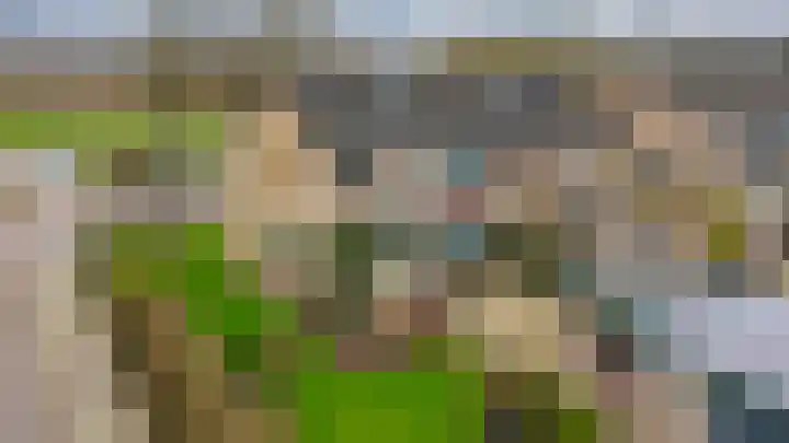 Witte Kruis 123 Babberich thumbnail 8