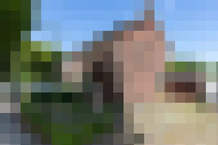 Witte Kruis 13 Babberich thumbnail 10