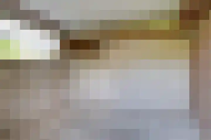 Witte Kruis 13 Babberich thumbnail 23