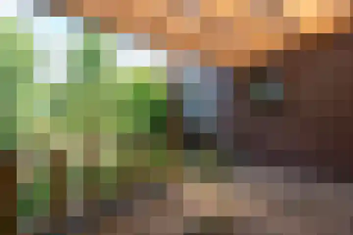 Witte Kruis 13 Babberich thumbnail 33