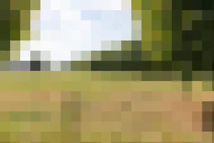 Witte Kruis 13 Babberich thumbnail 37