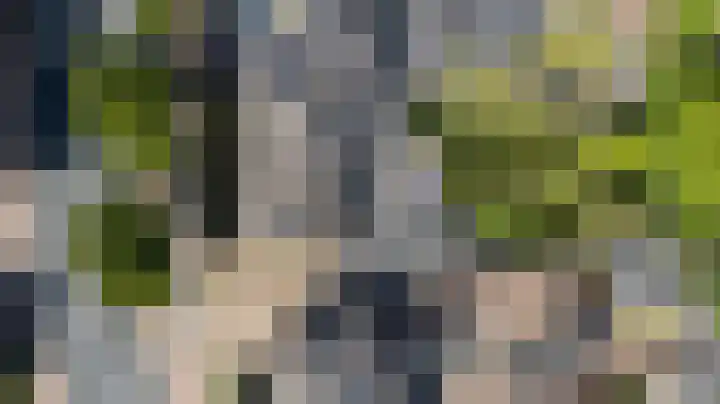 Witte Kruis 13 Babberich thumbnail 39