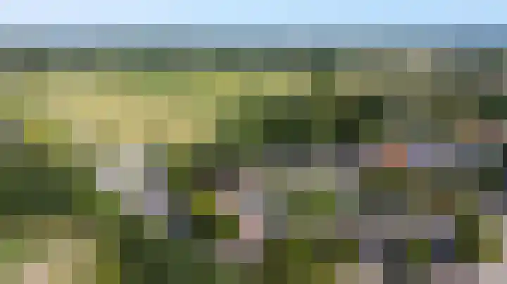 Witte Kruis 13 Babberich thumbnail 6