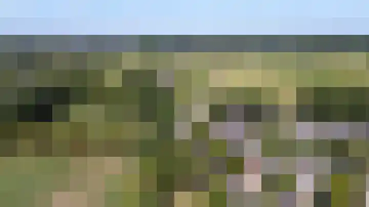 Witte Kruis 13 Babberich thumbnail 7